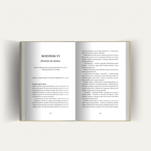 Strażnicy Korony: Tajemnica Starego Drzewa [Książka] - PREORDER